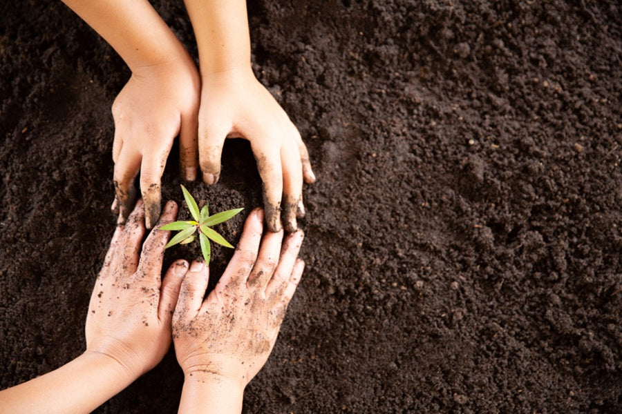 A long-standing, integrated CSR approach